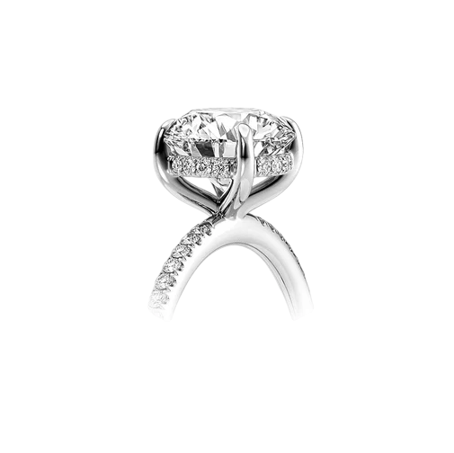 Hidden Halo Ring