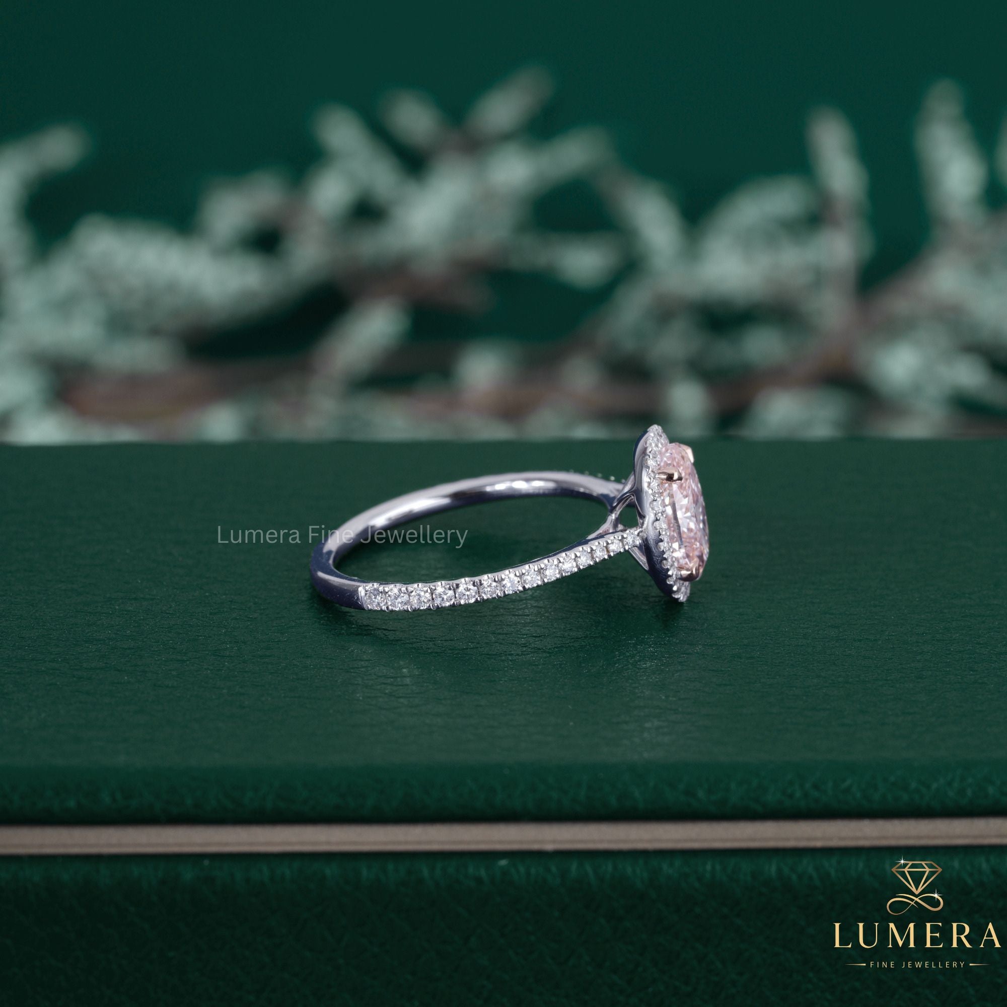 Halo ring beside a pave setting ring.]