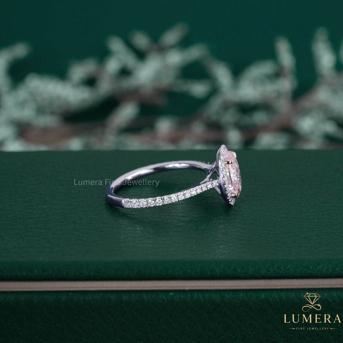 Halo ring beside a pave setting ring.]