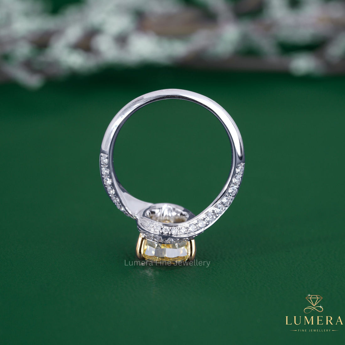 Knife edge shank ring with knife edge ring.