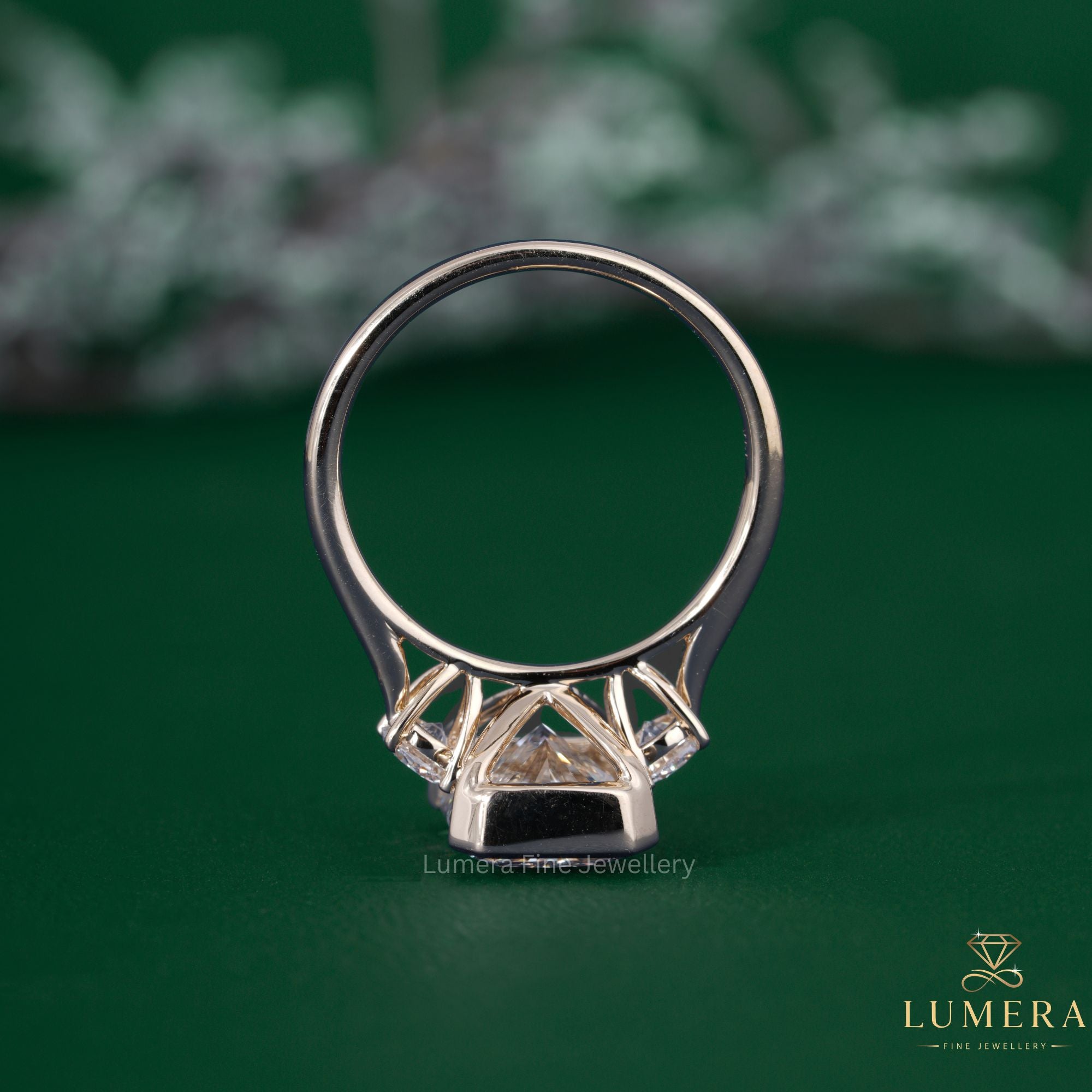 Trellis setting ring with trellis set ring.