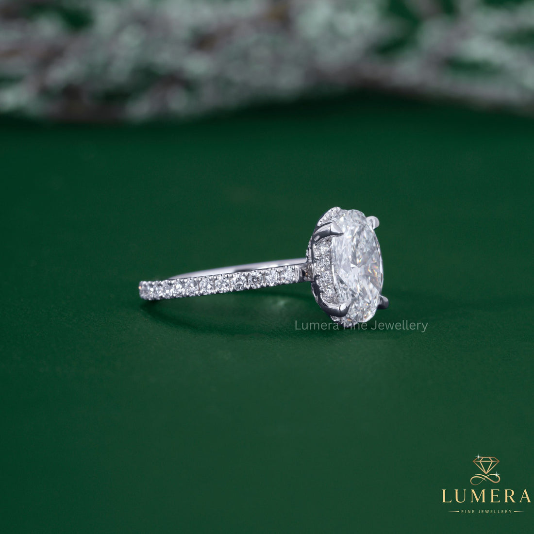Propose ring with solid gold ring.