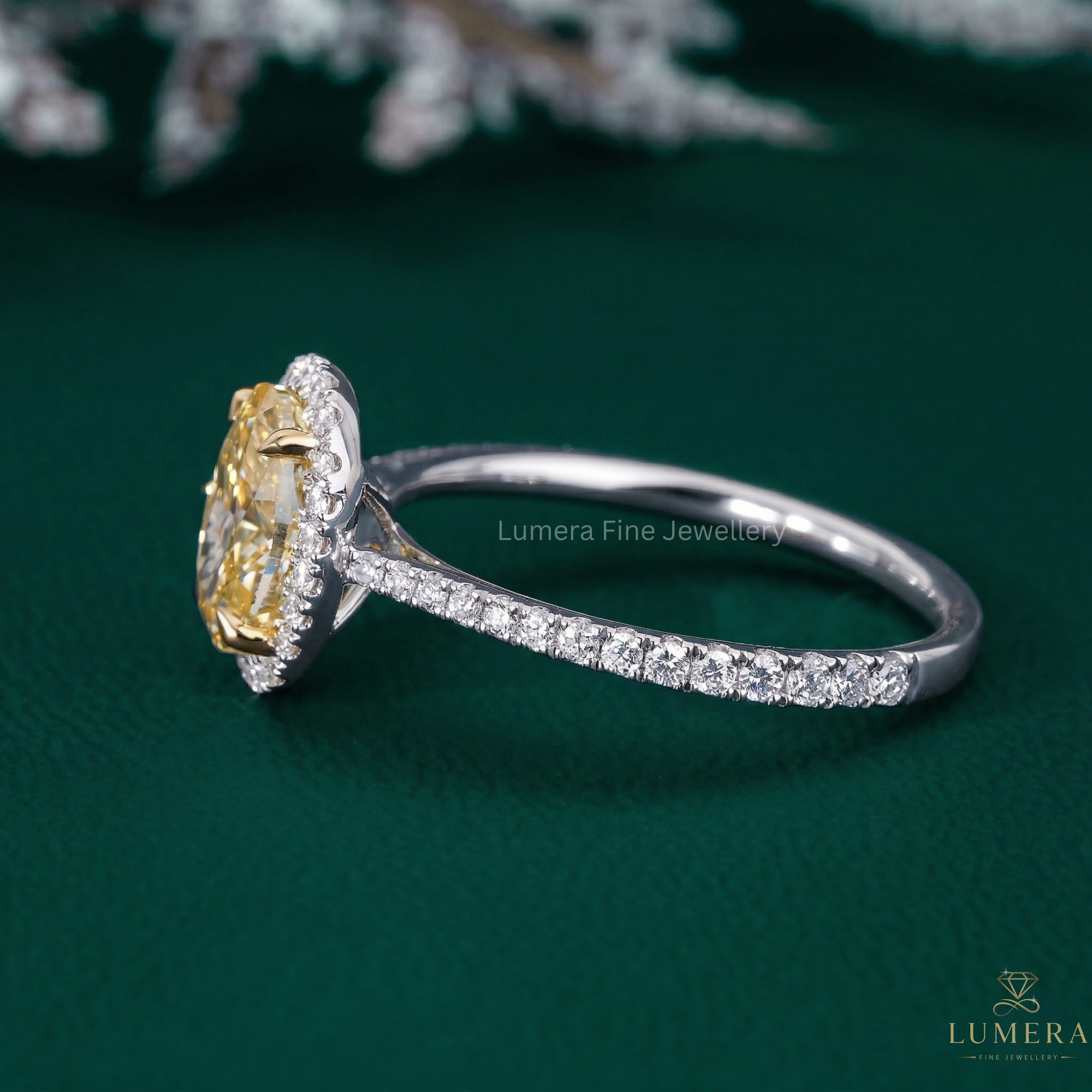 Yellow diamond ring with Halo diamond ring.