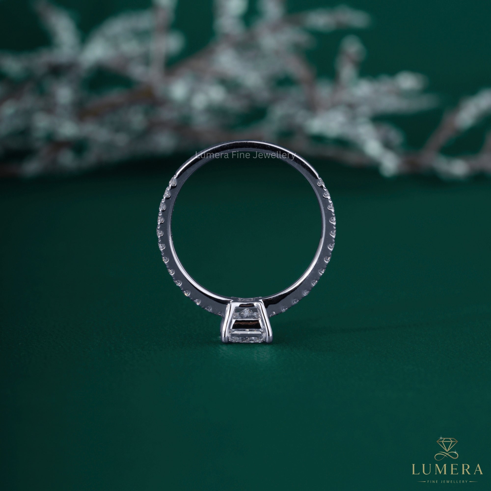 Pave diamond ring with basket set ring.