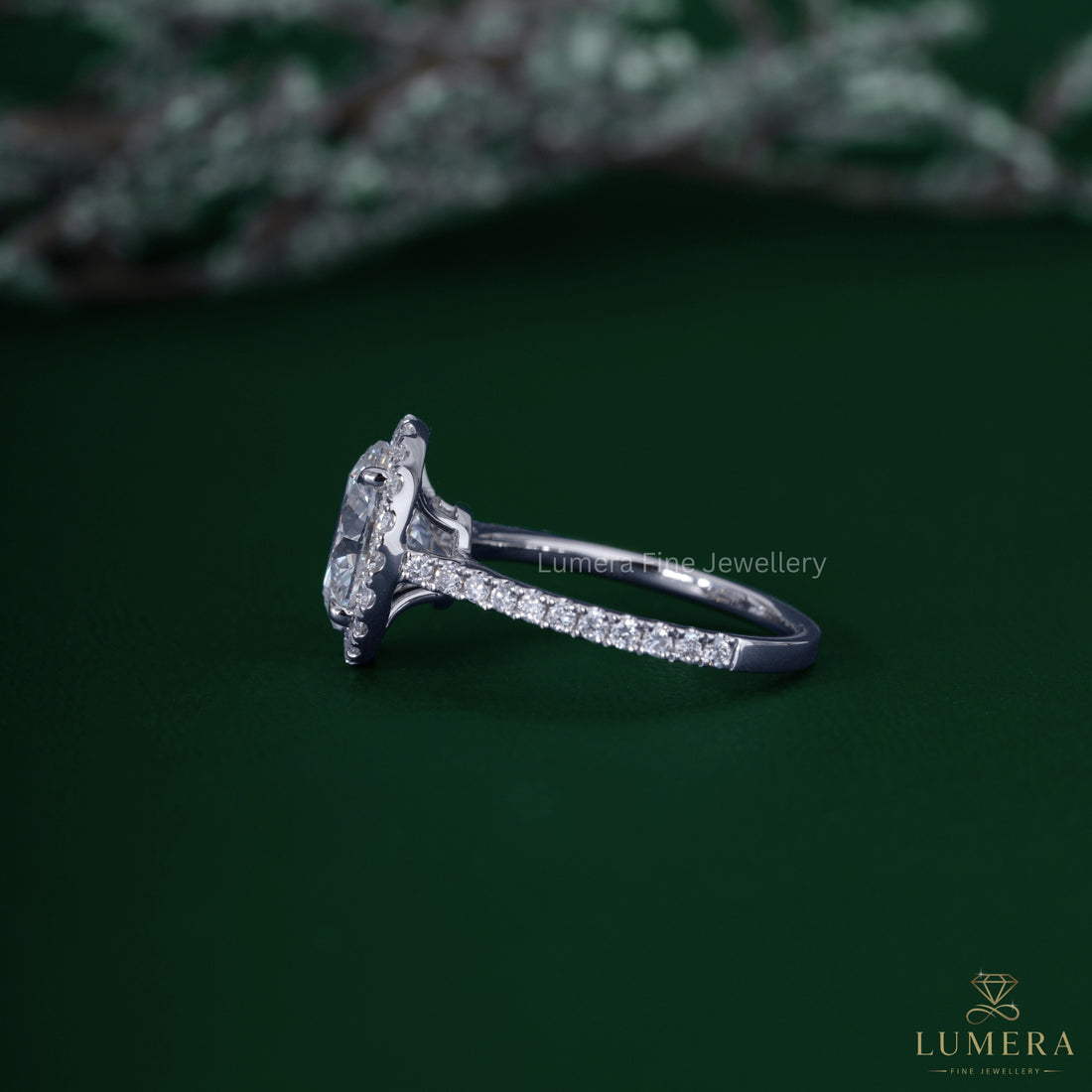 Pave engagement ring setting with claw prong ring.