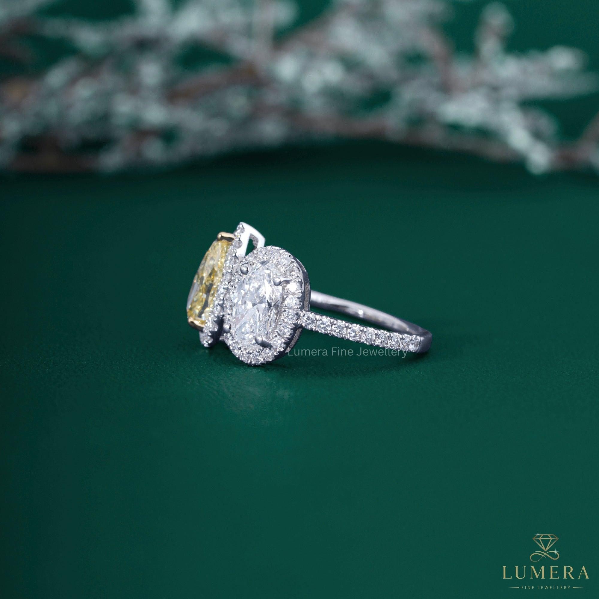 Pave setting ring with pave diamond band setting.