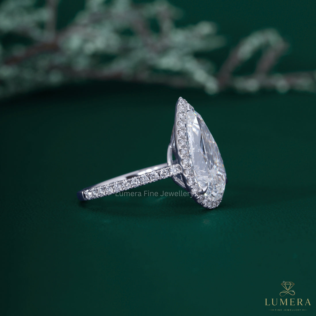 Cathedral setting ring with cathedral diamond ring.