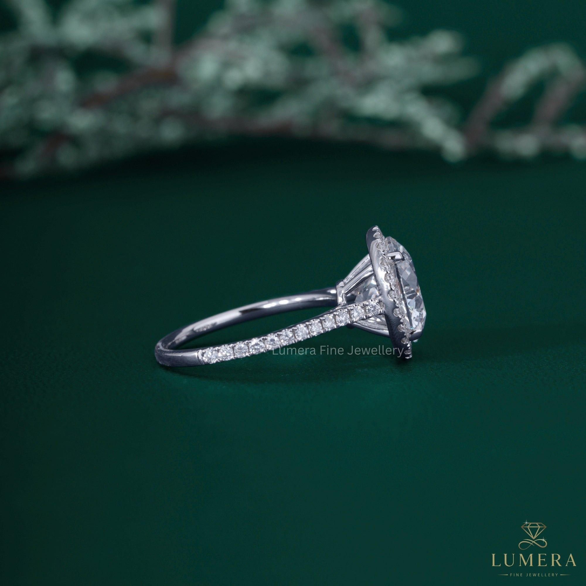 Pave ring with cathedral setting ring.
