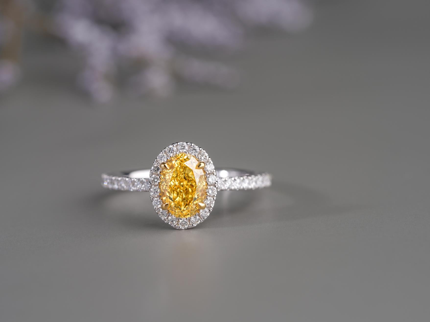 pave band engagement ring on halo engagement ring.
